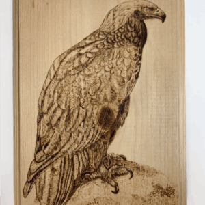 The Eagle  – Original Woodburned Plaque